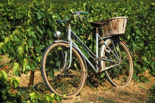 La Maison Grenadine Pres Du Canal Du Midi Tourouzelle Exteriör bild
